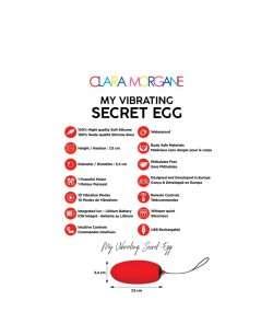 My vibrating secret egg - Rouge