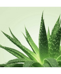 Mixgliss Gel de massage - NU Aloe Vera - 150 ml